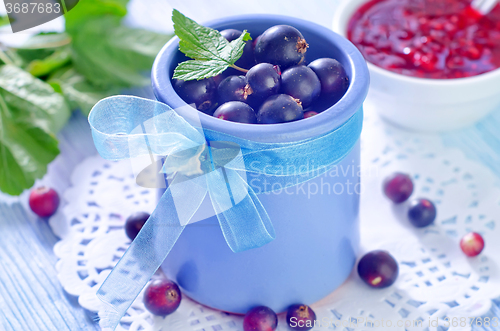 Image of black currant