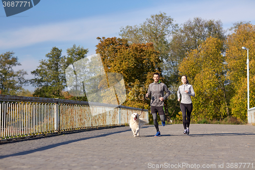 Image of happy couple with dog running outdoors