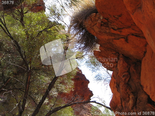 Image of red rock