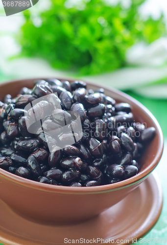 Image of black bean