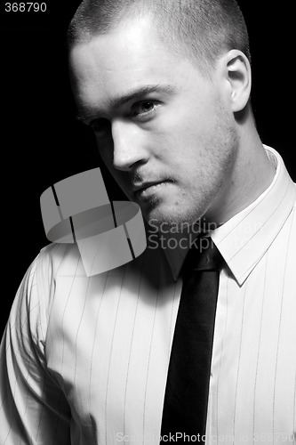 Image of Portrait of a young businessman