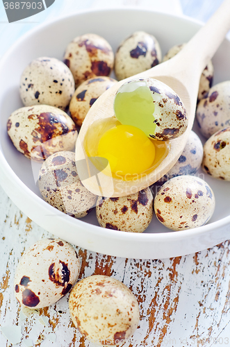 Image of quail eggs