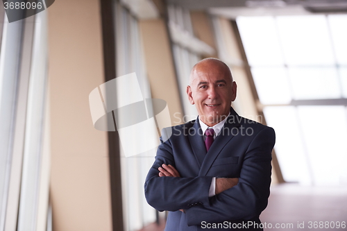 Image of senior business man portrait