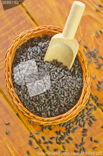 Image of black rice