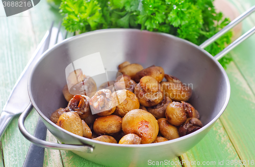 Image of mushrooms