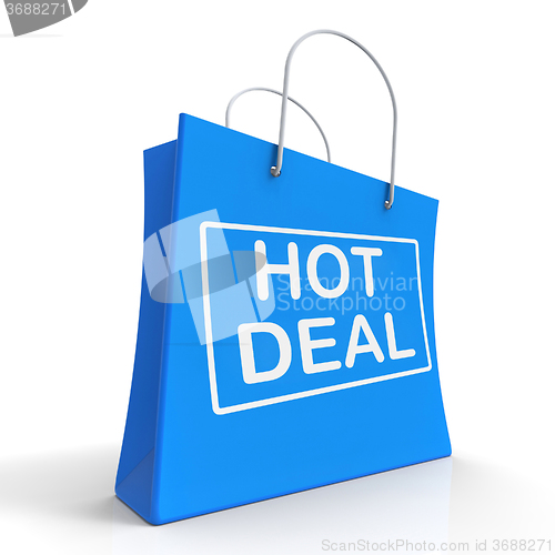 Image of Hot Deal On Shopping Bags Shows Bargains Sale And Save