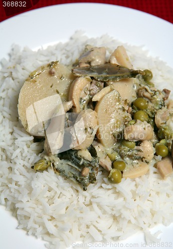 Image of Green curry meal vertical no chopsticks