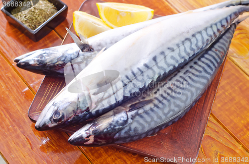 Image of raw fish
