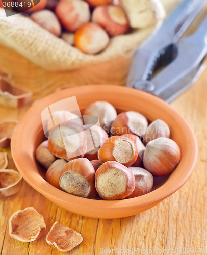 Image of hazelnuts