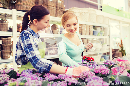 Image of happy women choosing flowers in greenhouse