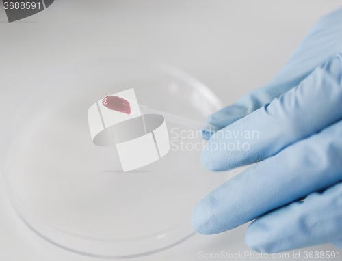 Image of close up of scientist with blood sample in lab