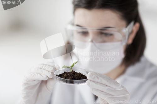 Image of close up of scientist with plant and soil in lab