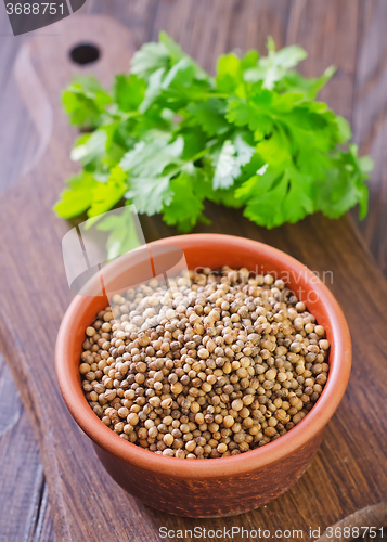Image of coriander