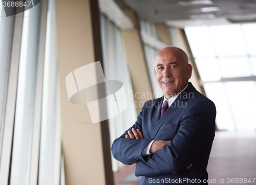 Image of senior business man portrait