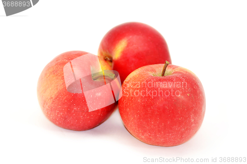 Image of Apples on a white background