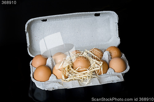 Image of Eggs