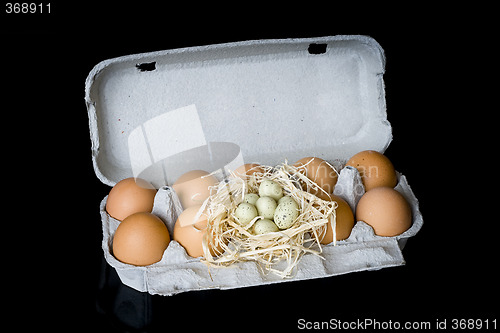 Image of Eggs