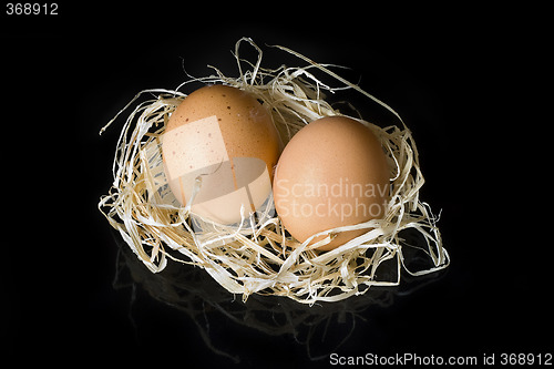 Image of Eggs