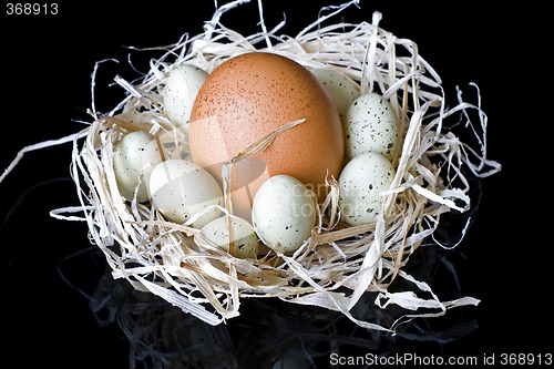 Image of Eggs