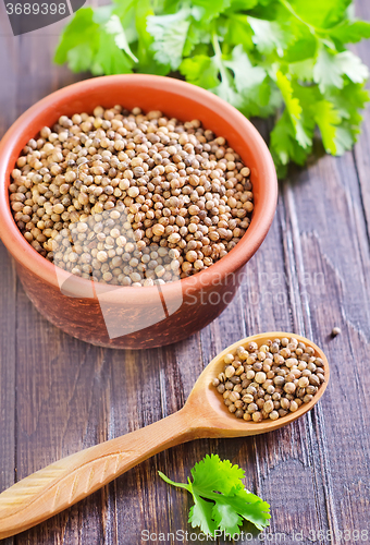 Image of coriander