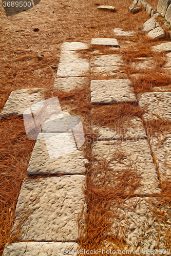 Image of pine needles    ruins stone and theatre in  antalya  arykanda tu