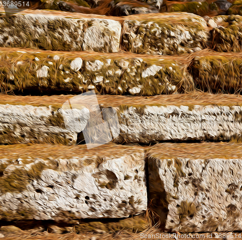 Image of pine needles    ruins stone and theatre in  antalya  arykanda tu