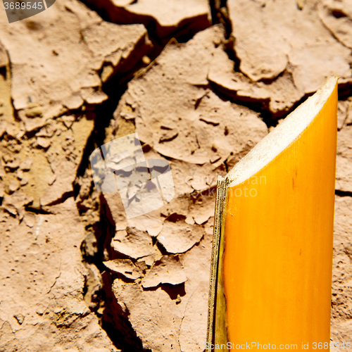 Image of cracked sand in morocco africa desert abstract macro bark