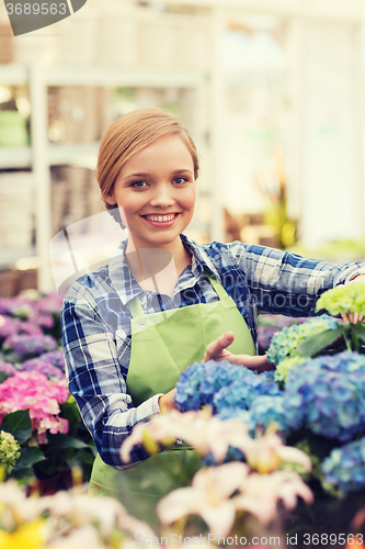 Image of happy woman taking care of flowers in greenhouse