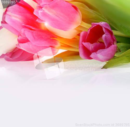 Image of bouquet of tulips