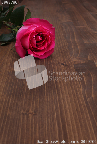 Image of rose on wood background