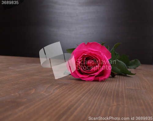 Image of rose on wood background