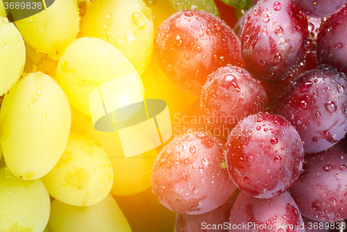 Image of fresh green and rose grapes