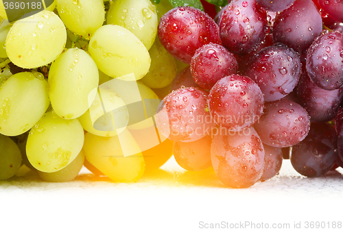 Image of fresh green and rose grapes