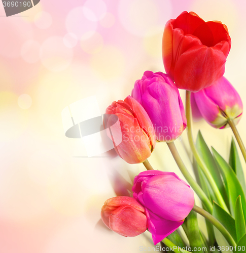 Image of bouquet of tulips