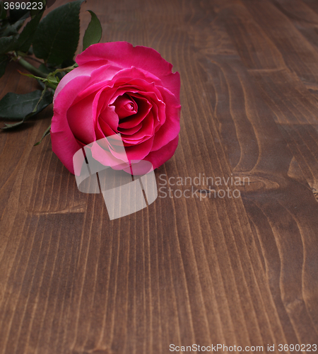 Image of rose on wood background