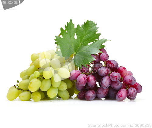 Image of fresh rose and green grapes with leaf