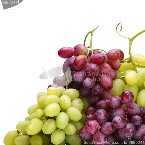 Image of fresh green and rose grapes