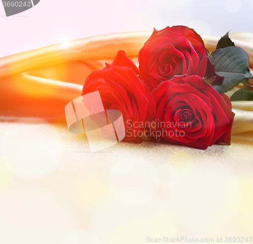 Image of red roses on silk background