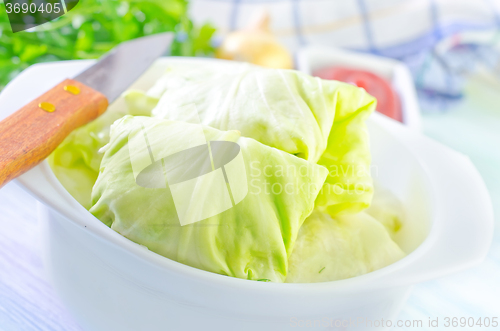 Image of cabbage leaf with meat