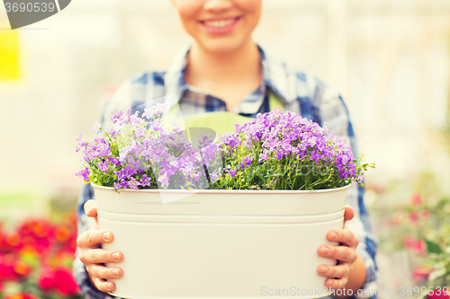 Image of close up of happy woman holding flowers in pot