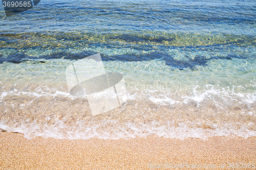 Image of tide foam and froth in the  