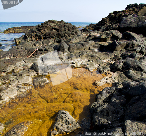 Image of in lanzarote coastline  froth  spain pond  rock stone  