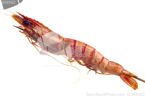 Image of Grilled tiger prawn on a skewer

