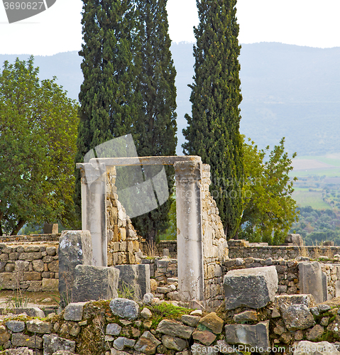 Image of volubilis in morocco africa  cypress and site