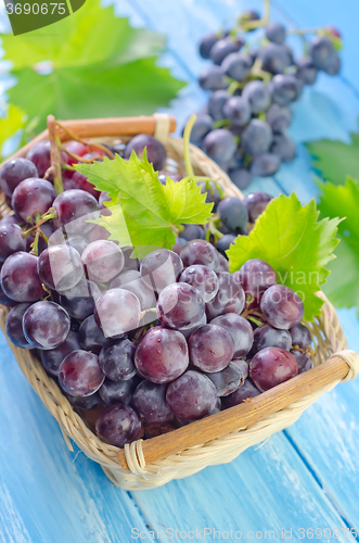 Image of grape