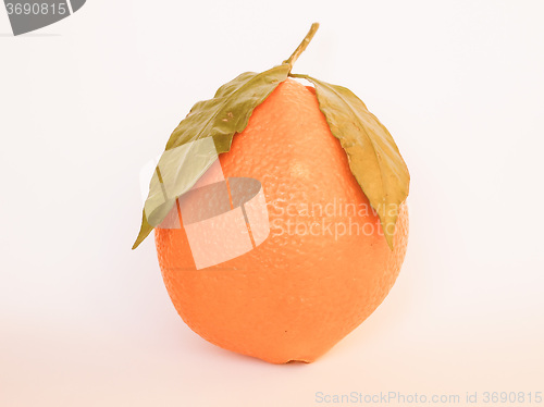 Image of Retro looking Orange fruit