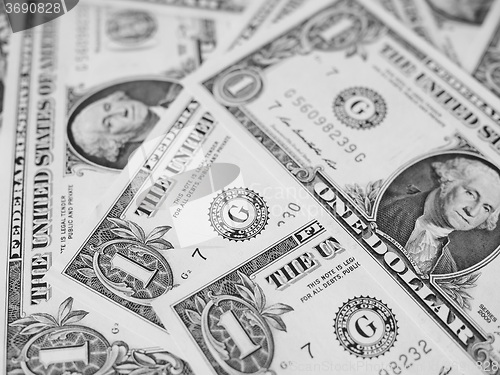 Image of Black and white Dollar notes 1 Dollar