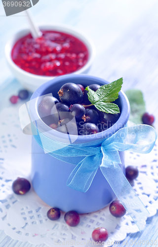 Image of black currant