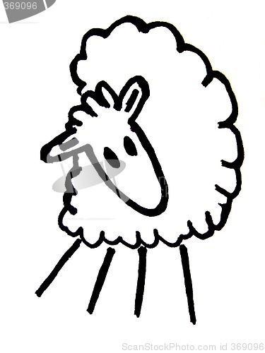 Image of sheep