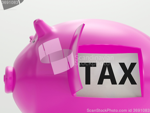 Image of Tax In Piggy Shows Taxation Savings Taxpayer